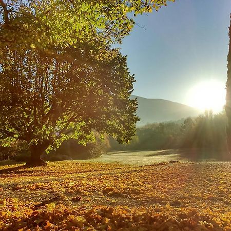 Le Mas De Cocagne En Provence Malaucène Esterno foto
