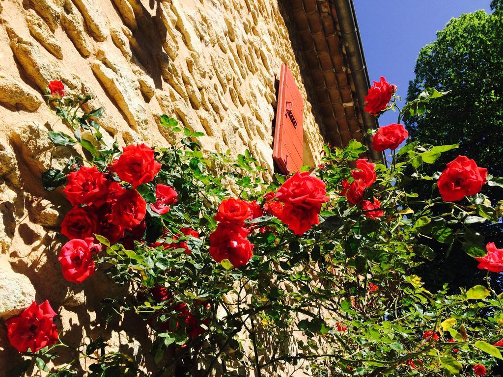 Le Mas De Cocagne En Provence Malaucène Esterno foto