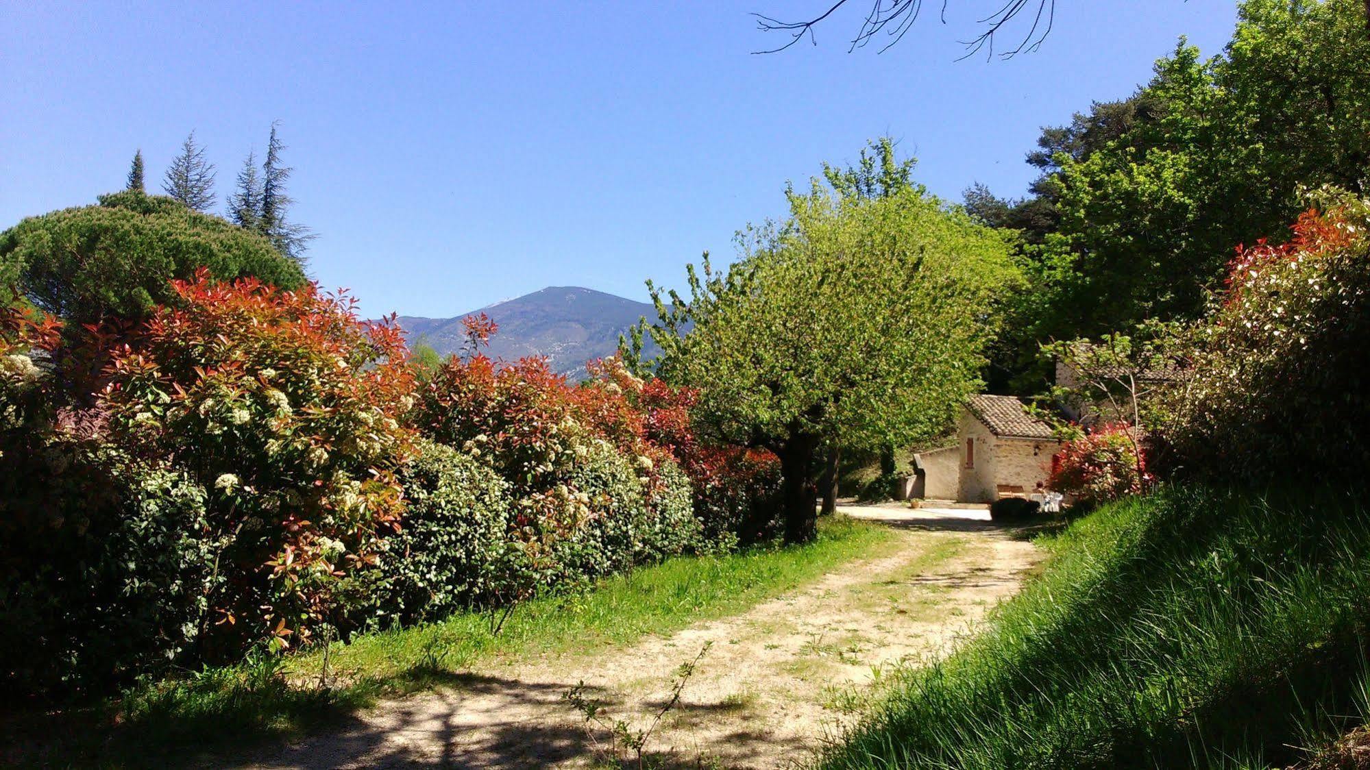 Le Mas De Cocagne En Provence Malaucène Esterno foto