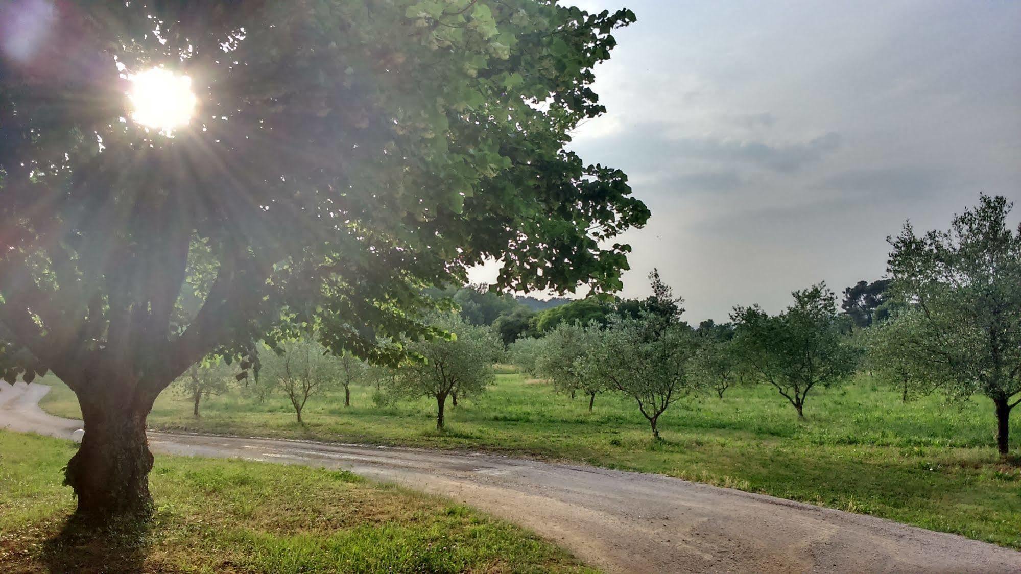 Le Mas De Cocagne En Provence Malaucène Esterno foto